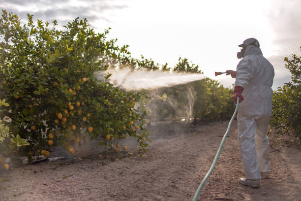 Best Best Pest Control Companies  in Penn Farms, PA